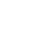 HOLISTIC