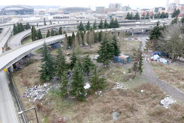 Who are Seattle’s homeless? Many are from here, ex-foster kids, veterans, survey shows